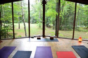 Yoga studio with large windows looking out over a forested area