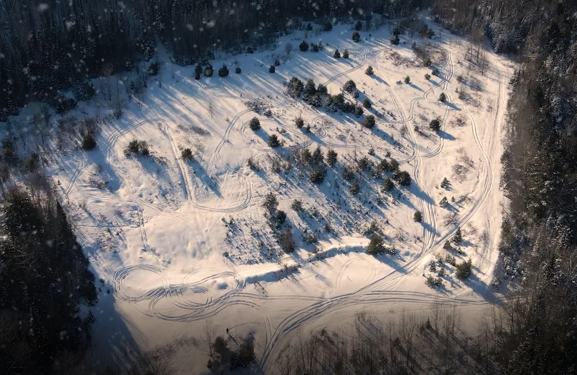 An aerial view of snow covered land with trails and trees. 