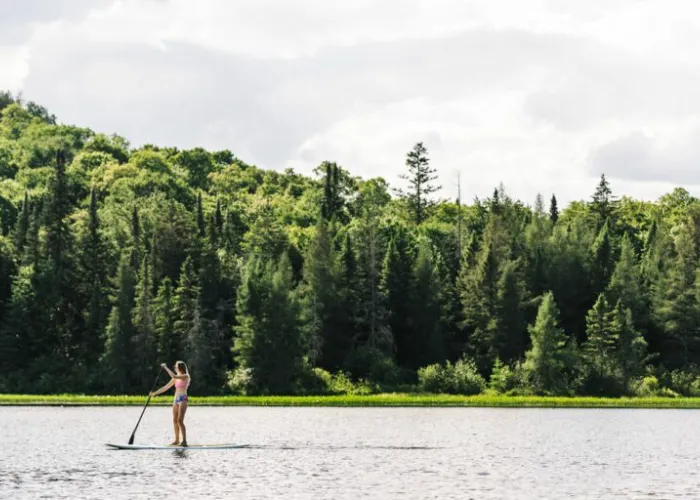 Person paddling on a standup paddle board on a lake