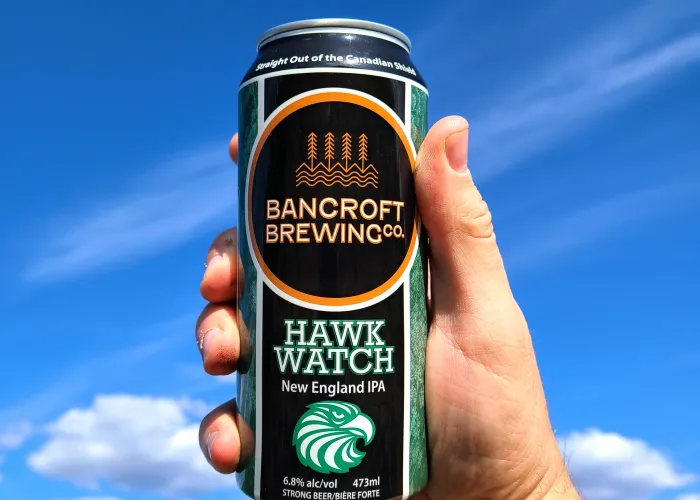 A hand holding a tall can of beer