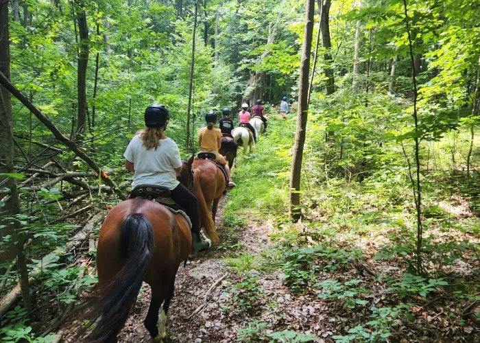 Horseback Trail Ride through the forest in Marmora, Ontario