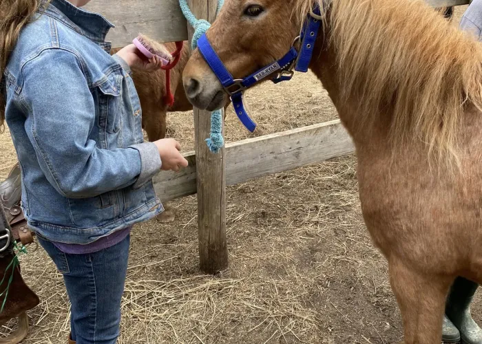 Child petting pony in Bancroft, Ontario