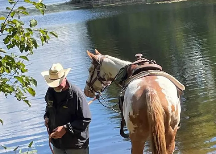 Man and Horse stop by river along a trail ride in Maynooth, Ontario