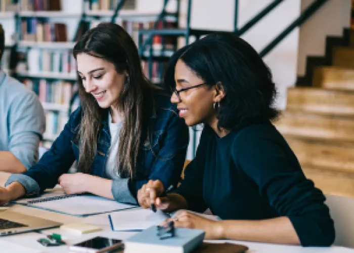 Two students are studying at a desk.